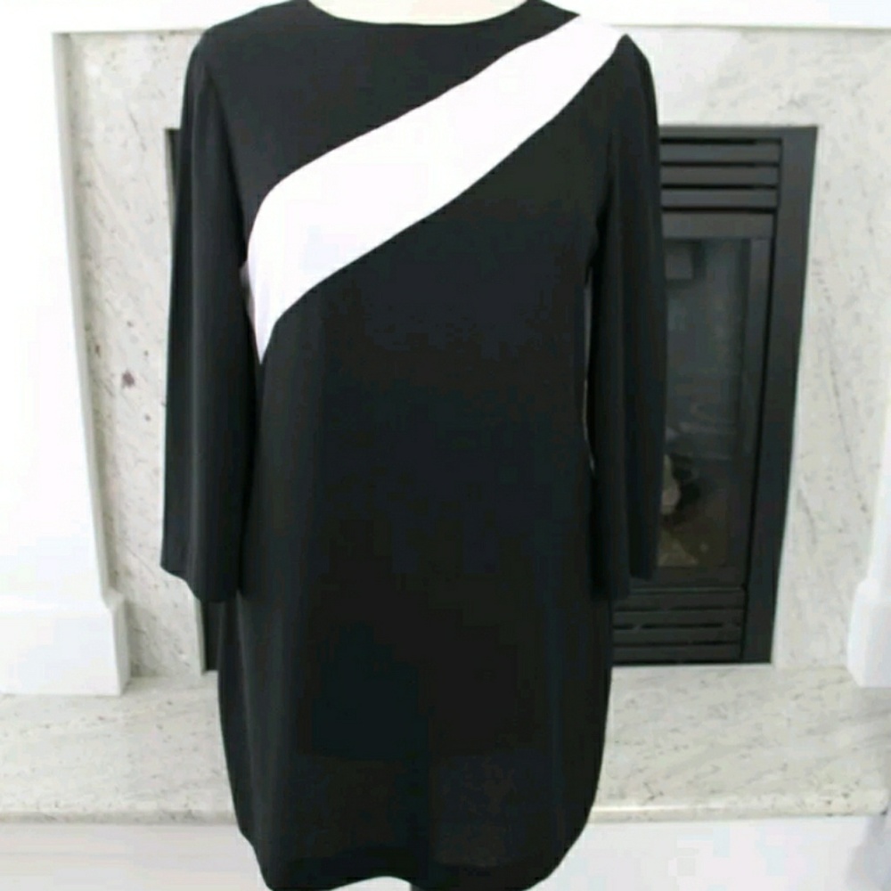 Zara Mod dress